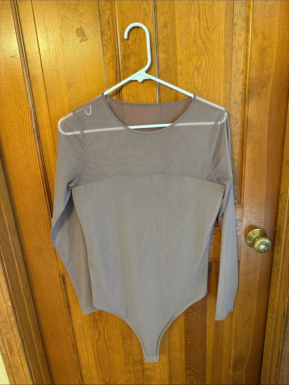 Abercrombie & Fitch Sheer-Panel Long Sleeve Bodysuit - Taupe